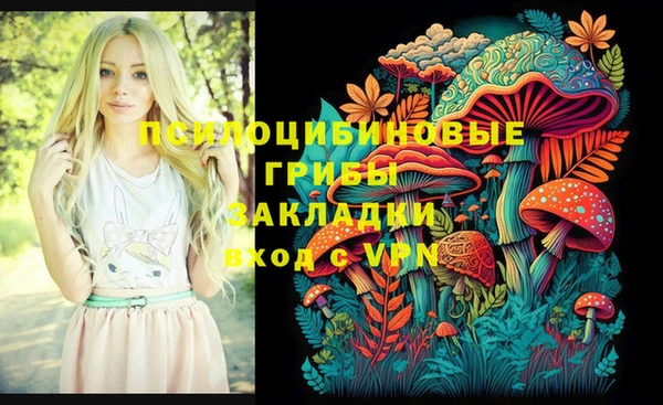спиды Беломорск